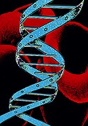 Gene Mutation May Help Predict Lung Cancer Survival in Nonsmokers