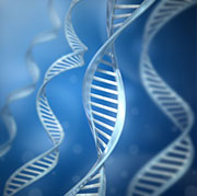 Scientists Rewrite Germ's Genetic Code