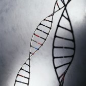 Gene Testing May Boost Lung Cancer Survival: Study