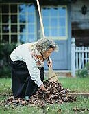 Gardening, Housework May Help Boost Your Heart Health