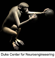 Scientists Train Monkeys to Move Two Virtual Arms With Their Minds