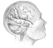 FDA Approves Implanted Brain Stimulator for Epilepsy
