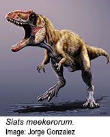 Colossal Predatory Dinosaur Remains Identified in Utah