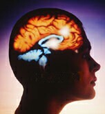 Ultrasound to Brain May Boost Sensory Perception