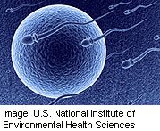 FDA Explores '3-Person' Embryo Fertilization