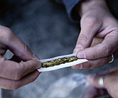 Weed Use Up, Cocaine Use Down, U.S. Report Finds