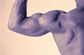 More Muscles Linked to Longer Life, Research Suggests