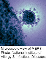 MERS Not Yet a Public Health Emergency: WHO