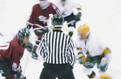 Broken Bones, Concussions Most Common Injuries in Youth Hockey