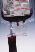 American Red Cross Issues Urgent Call for Blood Donations