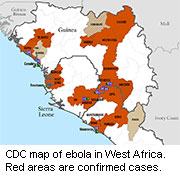 WHO Experts Give Nod to Using Untested Ebola Drugs