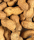 Many Kids With Asthma Also Sensitive to Peanuts: Study